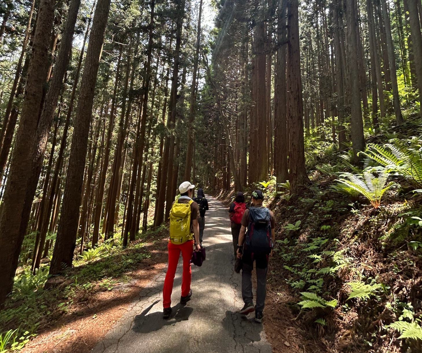 On the Eternal Trade Routes ~ 
Salt Road Ancient Road Tour