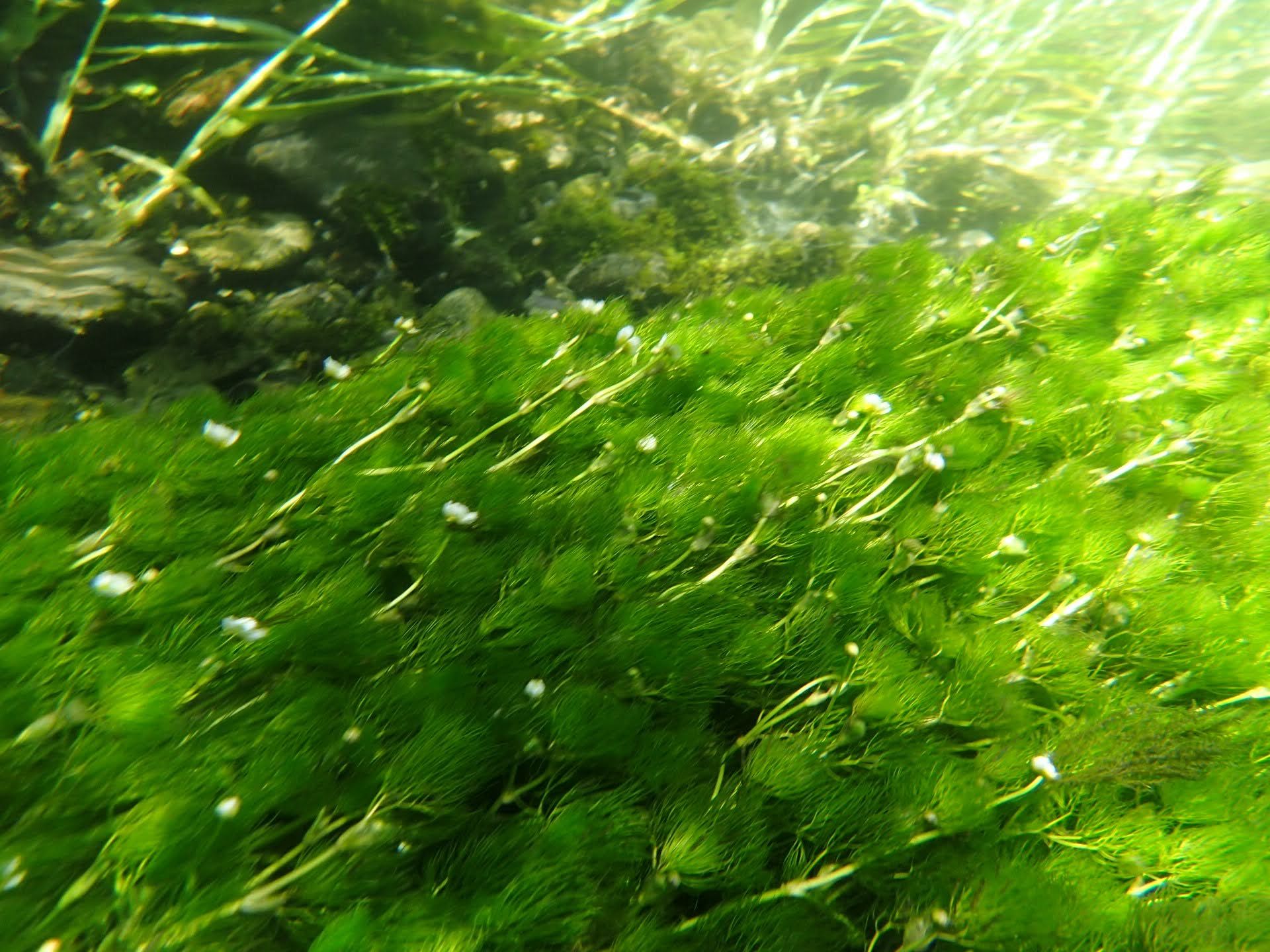 Azumino cycling tour: Discover the secrets of water and wasabi